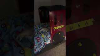 Kitten loves train bed just as much as toddler 😂❤️ #cat #kitten #friends #shorts #youtube #viral