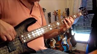 Blondie -  Rapture Bass Cover