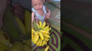 Saking doyan pisang dibeliin setundun #bayiviral #banana #pisang #videobayipintar #videobayi #lucu