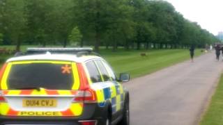 Windsor Great Park on 30th May 2016 deer crossing The Long Walk wabbly video!