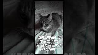 Bringing Joy to Your Cat The Secrets of Happy Cat Sitting #youtubeshorts