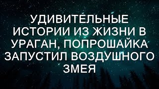 Удивительные истории из жизни В ураган, попрошайка запустил воздушного змея