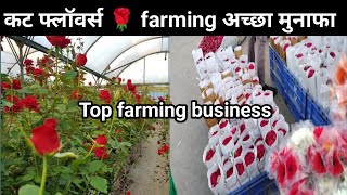 Grow Income With 🌹 Cut flowers Farming | Top Profit देने वाली खेती | Best Farming Idea