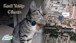 Evcil Hayvan Takip Cihazı - GPS Kedi Tasması