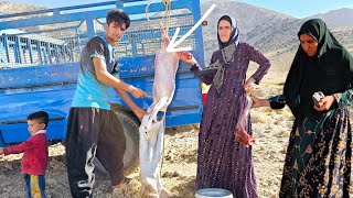 Mehdi and Farhanaz's family help the neighbor's woman.  who had a theory