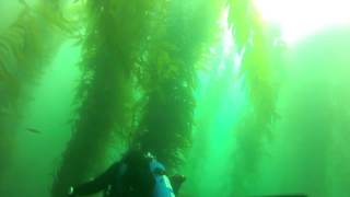 Clint Walker at  Ruby Wreck and New Hope Rock Dives  9 22  2012