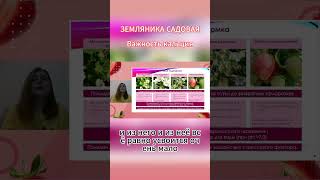 Кальций в землянике/клубнике #shorts #сад #обработка #кальций #клубника #огород #теплица #топ #стрим