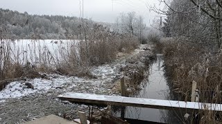 Große Desinfektion nach Infektionswelle in Fischzucht