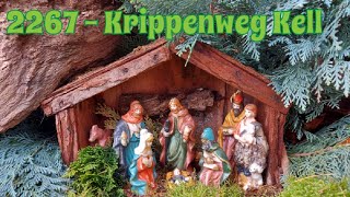 2267 - Krippenweg Kell | #wandern #hiking #wanderblog #mittelrhein #shorts