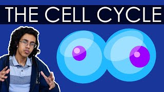 Biology Crash Course: The Cell Cycle!