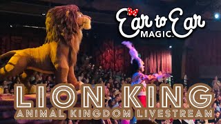 🔴 LIVE - Disney's Animal Kingdom - Walt Disney World Livestream 06.14.24