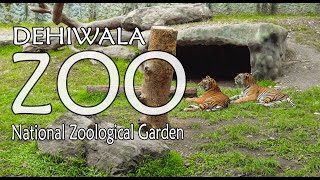 ThirdEyeVlogs : Visit Sri Lanka - Colombo / National Zoological Garden