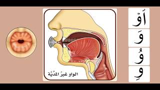 Practicing the letter واو