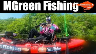 Pulling bass out from under trees -Massachusetts fishing