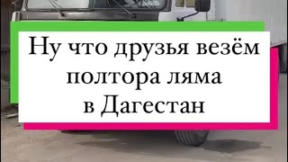 Ну что друзья везём полтора ляма в Дагестан