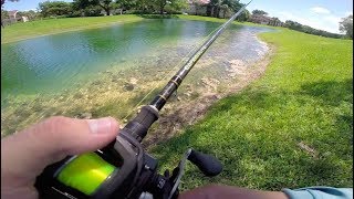 fishing my first bass tournament (Miami, Florida)