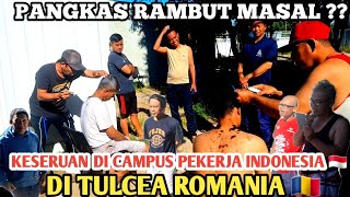 PANGKAS RAMBUT MASAL  PEKERJA INDONESIA 🇮🇩 SAAT LIBUR KERJA DI TULCEA ROMANIA 🇹🇩