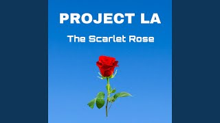 The Scarlet Rose