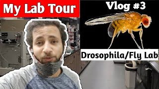 My Lab Tour | Drosophila Fly Lab | NCCS Pune |  Vlog 3 Ft Drosophila