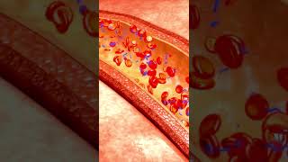 Blood cells #shorts #medical