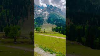 LETS TAKE A TOUR OF KASHMIR #fyp #shorts #shortsvideo #kashmir #2024 #viralvideo #vibes