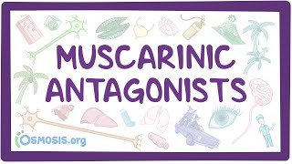 Muscarinic antagonists ~pharmacology~