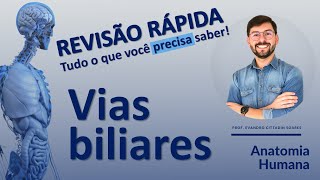 REVISÃO RÁPIDA - VIAS BILIARES - TUDO O QUE VOCÊ PRECISA SABER!