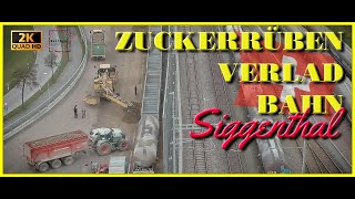 ZUCKERRÜBEN per BAHN . 12.2022 VERLAD SIGGENTHAL  AG   [2K | UWQHD]