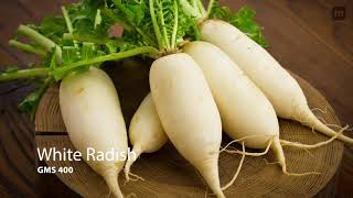 GMS 400 / Radish