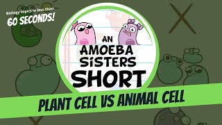 Plant vs. Animal Cell - Amoeba Sisters #Shorts