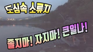 도심속 소류지에 졸면은 일어나는 일/옥내림 입질/이거다피싱샵 붕어낚시 영상조행기220423