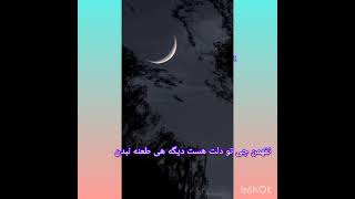 ۸ دسامبر ۲۰۲۳