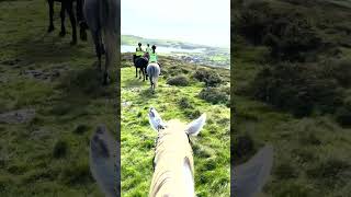 Horse Riding in Ireland in September!