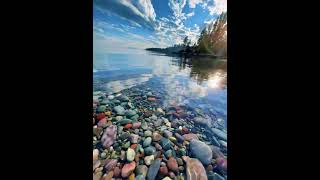 🍃 Relaxing Music with Nature Sounds, 🍃 Forest Music, Sleep Music, Meditation Music #shorts