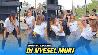 Dj Nyesel Muri || Lumbung Harapan live di Montong Ajan