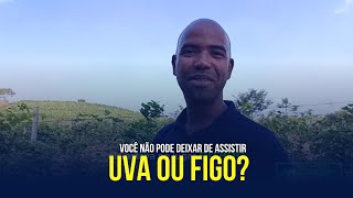 Quero dividir com vocês uma mensagem do céu, se você assistir não vai se arrepender, é forte hem.