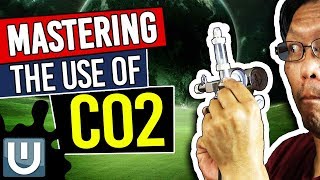 Master Co2 in Your Aquarium NOW! - Part 6