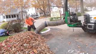 Leaf Removal Service, Leaf Cleanup & Leaf Collection