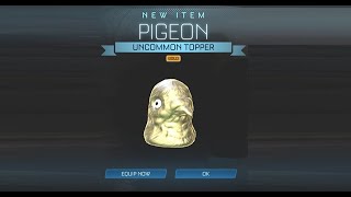 NEW GOLD PIGEON Topper In ITEM SHOP! Rocket League