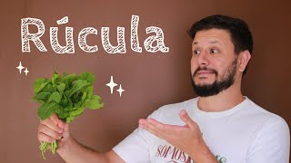 COMO PLANTAR RÚCULA EM CASA - COMPLETINHO!!