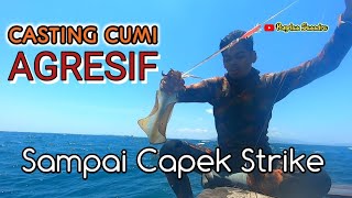 Teknik Mancing Cumi Siang hari, Benar-Benar Agresif‼️ Sampai Capek Strike