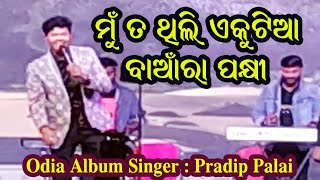 Mun Ta Thili Ekutia Banra Pakhi Odia Song || Odia Album Singer Pradip Palai Stage Song || 🤨🤨 ||