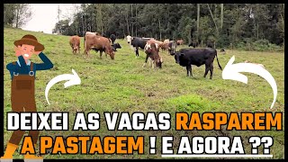 DEIXEI AS VACAS RASPAREM A PASTAGEM, E AGORA ??