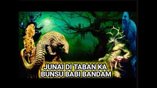 Anak Raja Bunsu Tengiling 3