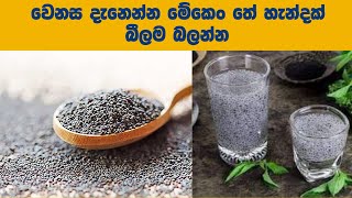 වෙනස දැනෙන්න මේකෙං තේ හැන්දක් බීලම බලන්න basil seeds