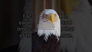 Fact of the day: Eagle Eye