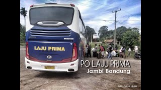 PO LAJU PRIMA JAMBI BANDUNG SEKARANG 32 SEAT