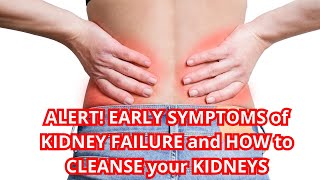 ALERT! EARLY SYMPTOMS of KIDNEY FAILURE and HOW to CLEANSE your KIDNEYS