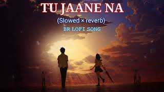 Tu Jaane Na (Slowed + Reverb) - Kaise bataye q tujhko chahe | BR LOFI SONG