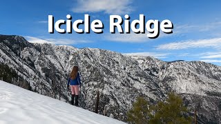 Hiking Icicle Ridge in the snow!